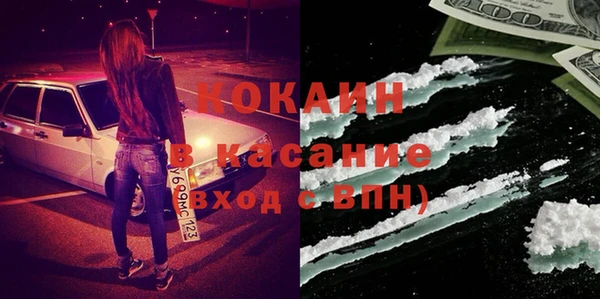 гашик Алексин
