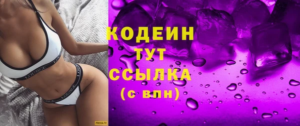 гашик Алексин