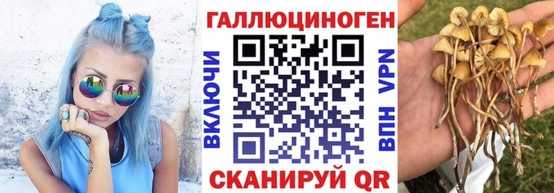 это телеграм магазин продажи Донской Галлюциногенные грибы GOLDEN TEACHER