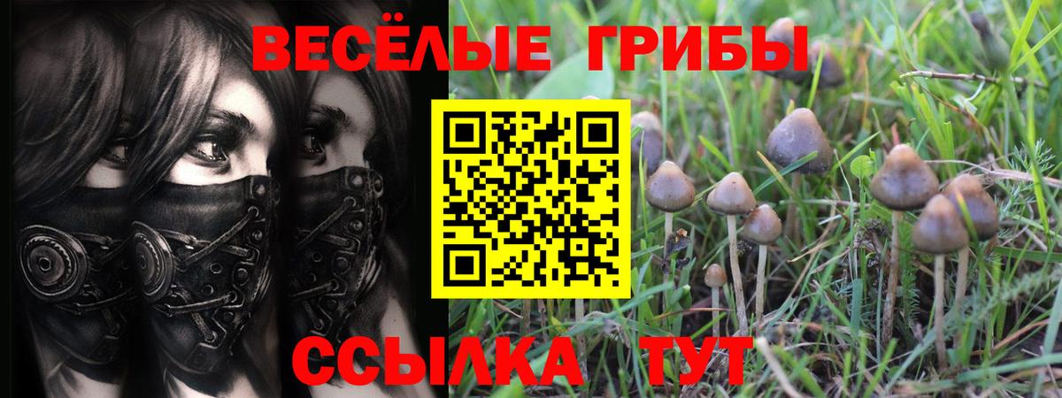 Псилоцибиновые грибы мухоморы  Псилоцибиновые грибы Psilocybe  Вход с VPN  как найти закладки  Донской 