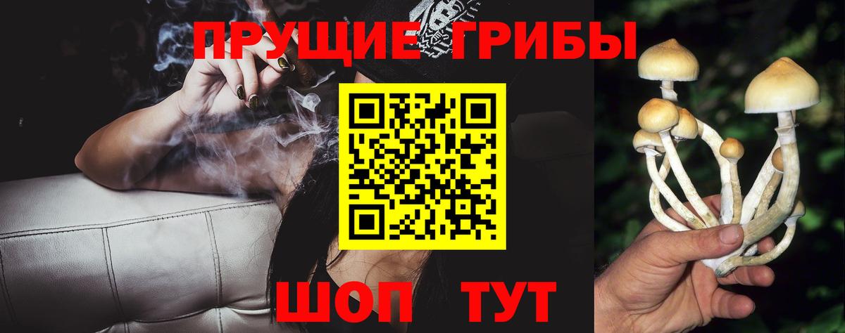 Псилоцибиновые грибы MAGIC MUSHROOMS Донской